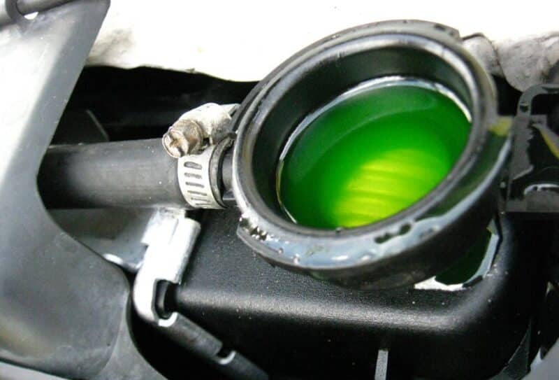 Can Toyota Use Green Coolant? (Things You Should Know)