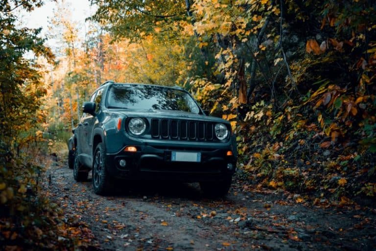 How Do I Know If My Jeep Is 4Wd Or 2Wd? (Beginners Guide)