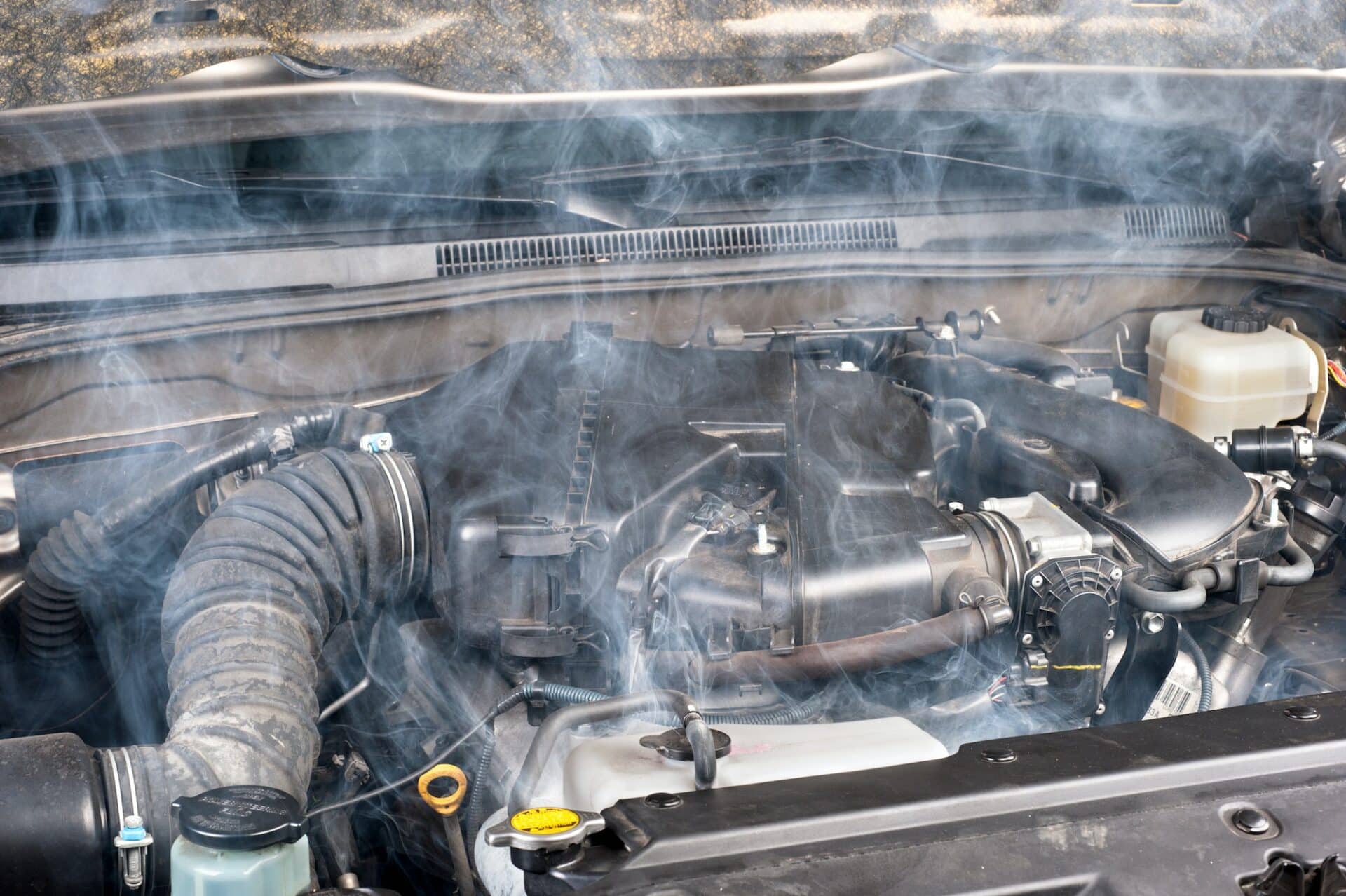 Dodge rear end identification beginners guide 2024 